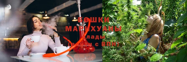 дурь Нягань
