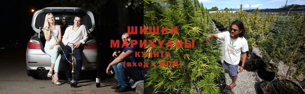 герыч Алексин