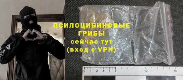 герыч Алексин