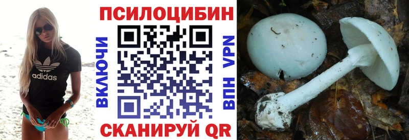 Галлюциногенные грибы прущие грибы  Опочка 